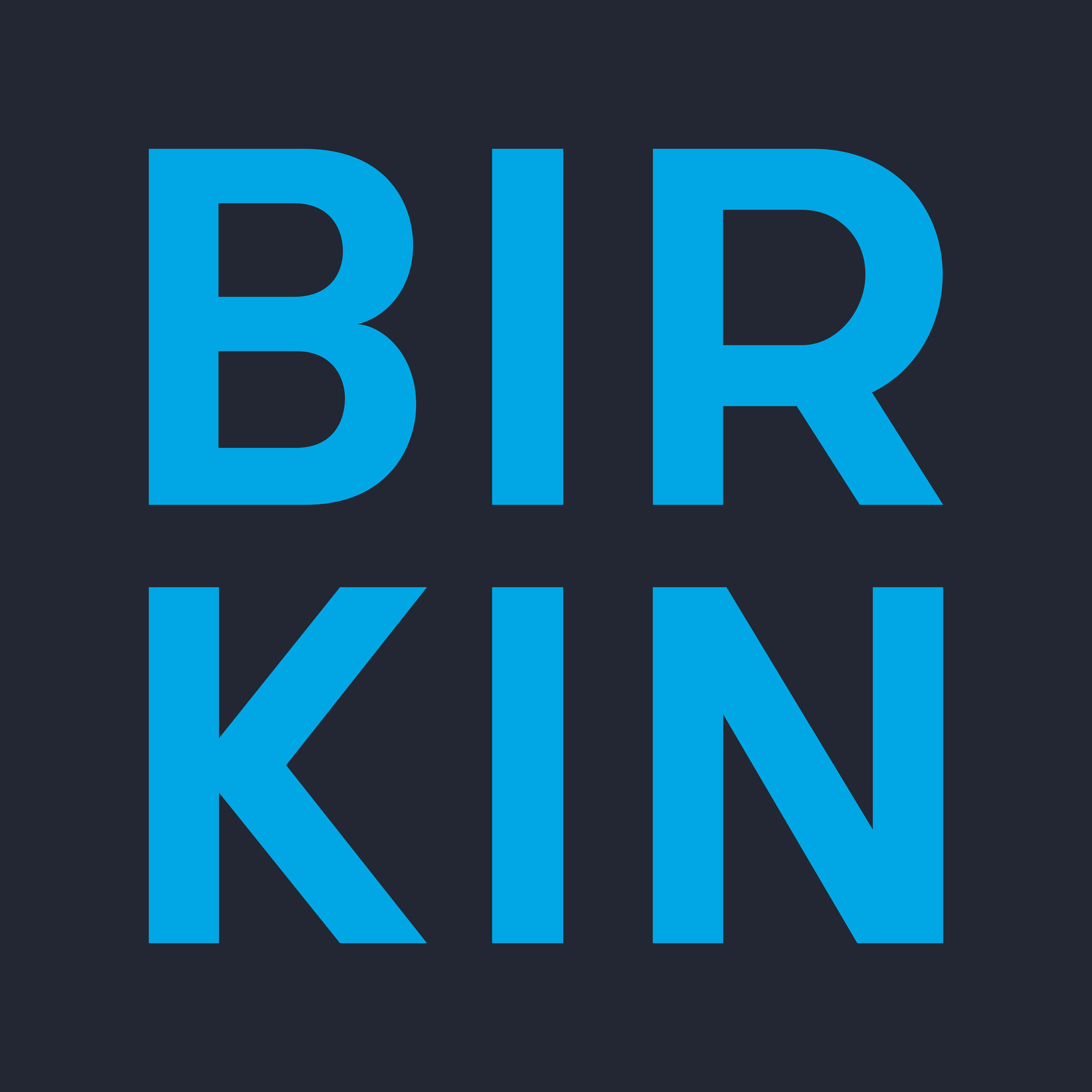 Birkin group logo